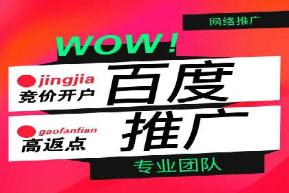 百度推广与SEO结合案例：提升网站排名的技巧